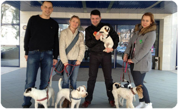 nice-life-parson-russell-terrier-zara-rumunsko-sampion